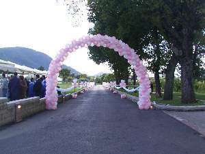 Clicca per ingrandire